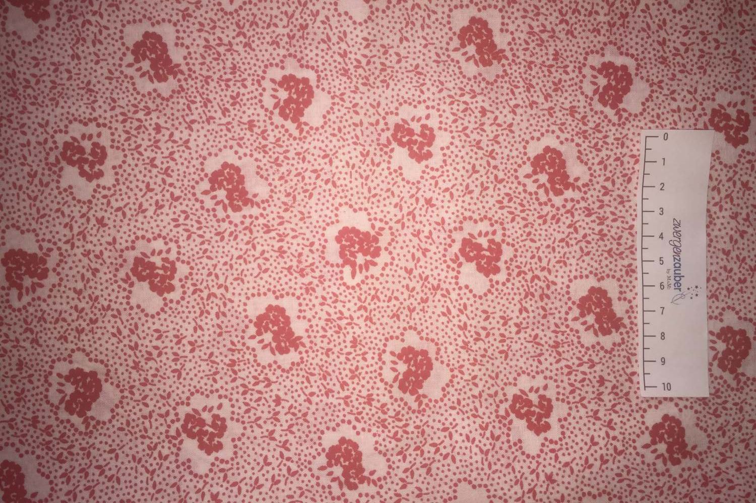 Blüten rot weiß Blüten rot weiß